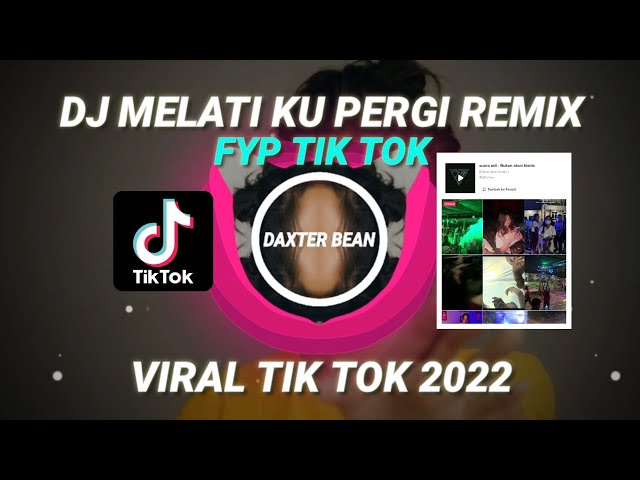 DJ MELATI KU PERGI REMIX FYP VIRAL TIK TOK TERBARU 2022 class=