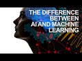 The Difference Between Artificial Intelligence and Machine Learning