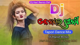 Kenala Pani || Tapori Dance Mix || Dj Hari Remix Dsl || New Sambalpuri Dj Song 2024