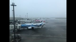 Plane Spotting LIVE Okinawa Naha Internatioal Airport 05/22/2024 No.2