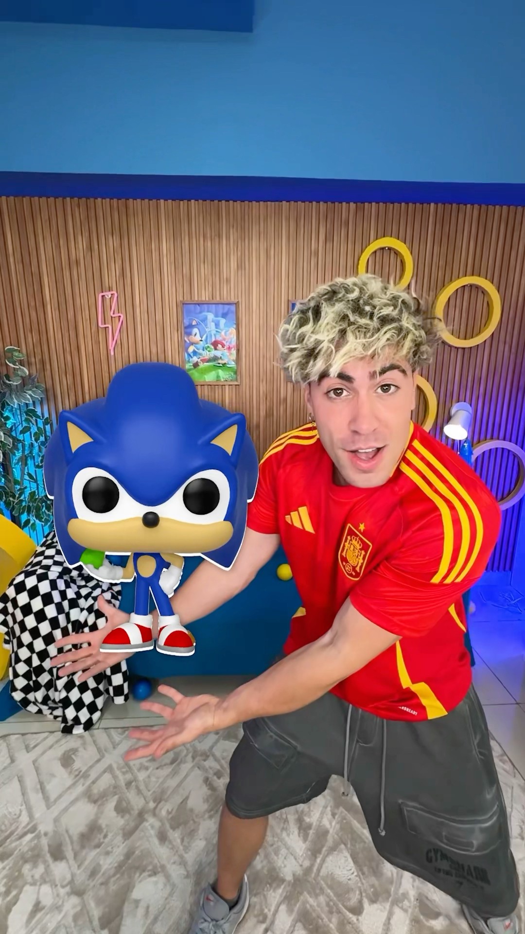 The Sonic's Funko !!