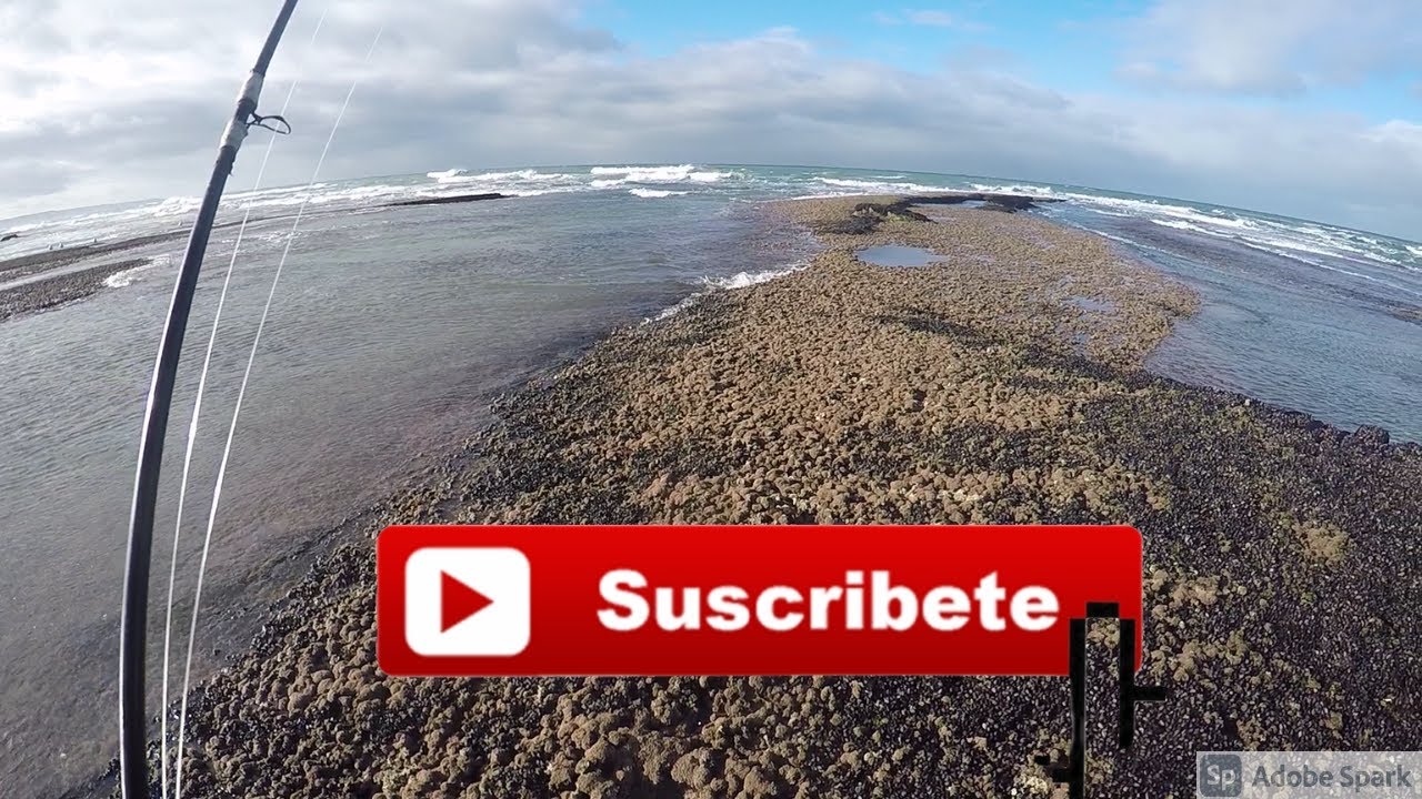 Jornada  de pesca complicada, pero al final hubieron buenos piques!! Isla escondida - Chubut -