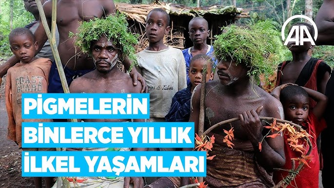 Ormonda yalangoch odamlar Avtobusda hd porno