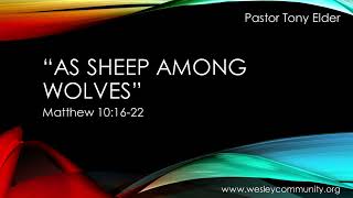 05-19-24 "As Sheep Among Wolves"