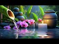 Healing Piano Music with Candlelight and Flowers Scenery to Mood Up Your Soul