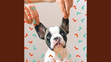 Pulsating Chill Out - Vibe for Behaving Puppies