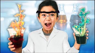 How to make Color Changing Celery!!! Science Experiments for kids