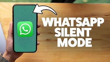 How To Put WhatsApp On Do Not Disturb 2025 (iPhone & Android)