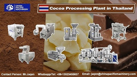 How to Set Up a Cocoa Processing Plant for Cocoa Liquor/Cocoa Butter/Cocoa Powder Production？#cocoa