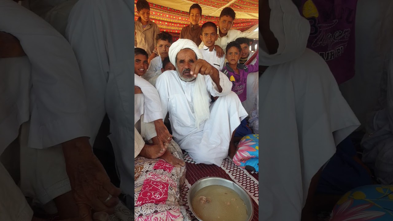 قصص عن هجن الرشايده فرع البراطيخ