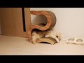 S字爪とぎで伸び伸びするモフ猫