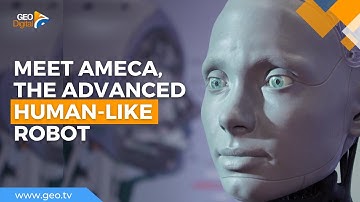Humanoid robot 