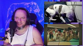 REACTION The 502s - Your Nonsense Makes Sense (Official Music Video)