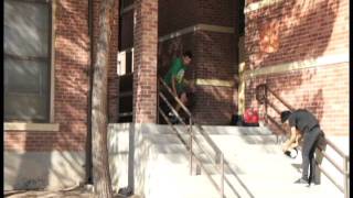 Alexswitch - Feiby 3