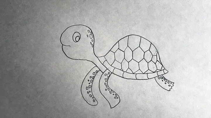 Directed Drawing- Sea Turtle