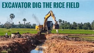 Excavator works in the rice field for building the creek