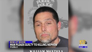 Pueblo man pleads guilty to shooting, killing nephew, firing at other family members