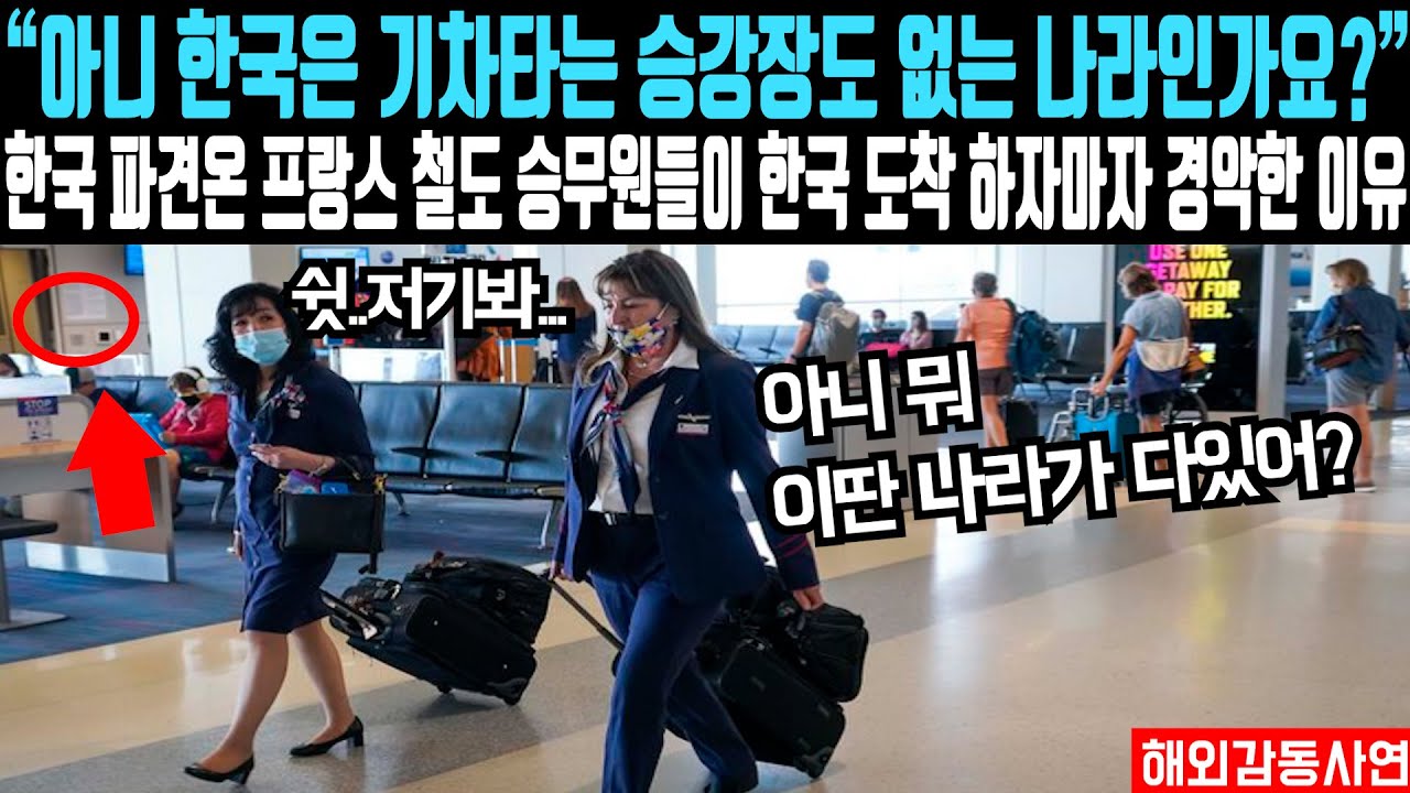 “아니 한국은 기차타는 승강장도 없는 나라인가요?” 한국 파견온 프랑스 철도 승무원들이 한국 도착 하자마자 기겁한 이유