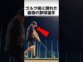 ゴルフ場に現れた最強の野球選手