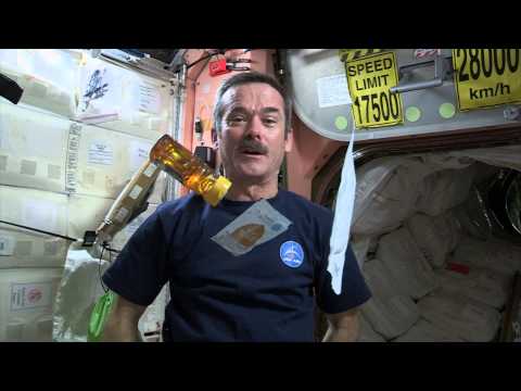Chris Hadfield's space cuisine