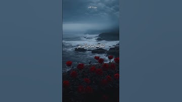 #سورة_القدر#الشيخ_سعد_الغامدي #قرآني_حياتي #قرآن_كريم #رمضان#أهل_السنة_والجماعة