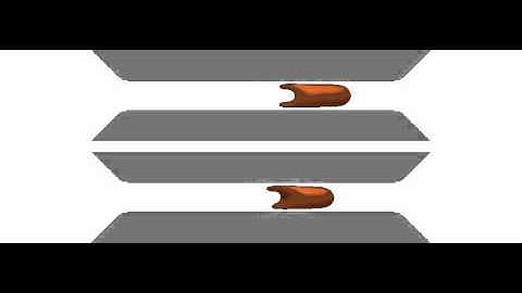 simulation of a red blood cell in capillary