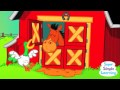 Good Morning, Mr  Rooster from Super Simple Songs   YouTube