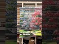 CUSTOMISED PRINT ZEBRA BLINDS WINDOW CURTAIN 8075956919