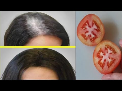 ผมหงอกก่อนวัย แก้ยังไง! Gray Hair ➡️ Black Hair Naturally Permanently with Tomato 