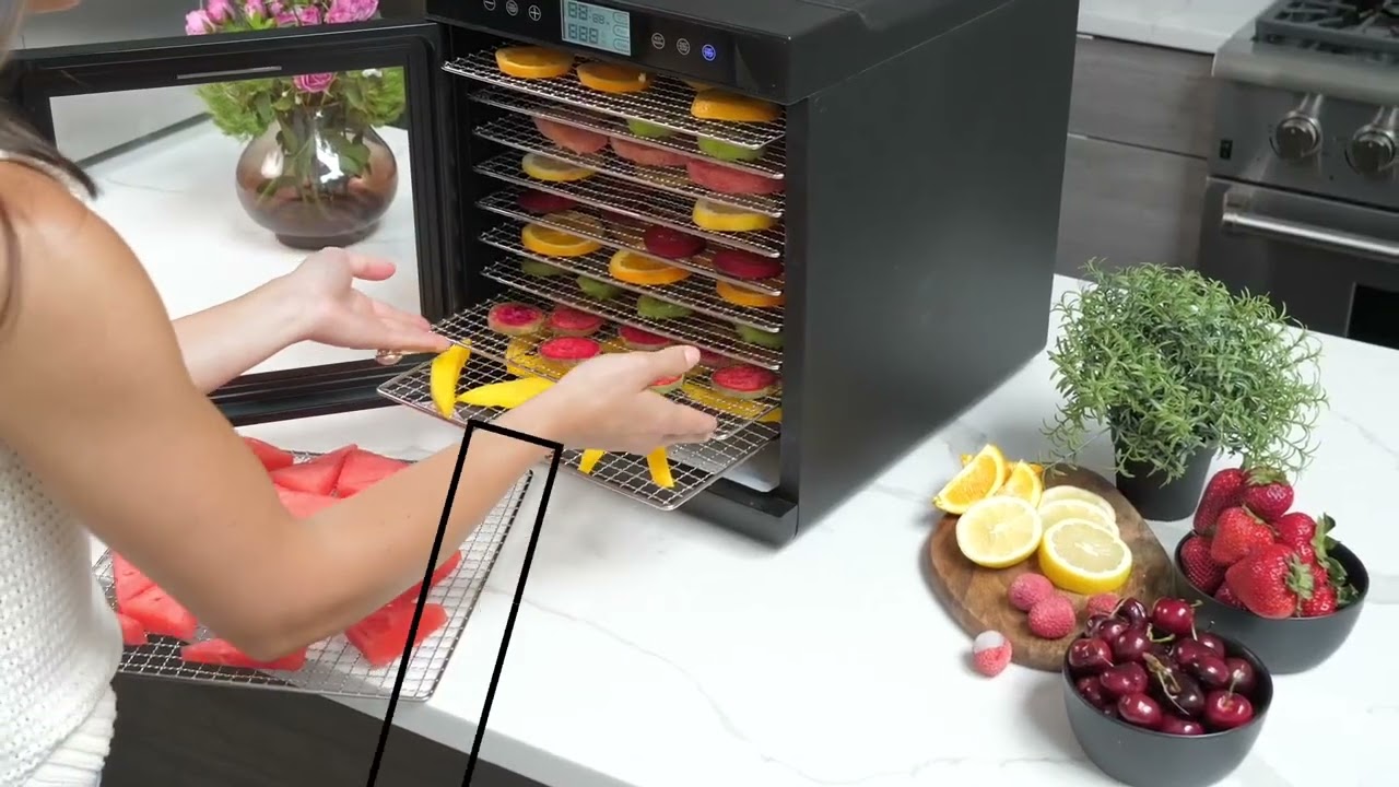 Magic Mill Food Dehydrator Machine - Digital Adjustable Timer | Temperature  Control | Keep Warm Function | Dryer for Jerky, Herb, Meat, Beef, Fruit