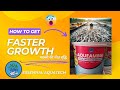 AQUAMINA – Essential Minerals for Healthier Fish & Shrimp | स्वस्थ मछली और झींगा के लिए आवश्यक खनिज