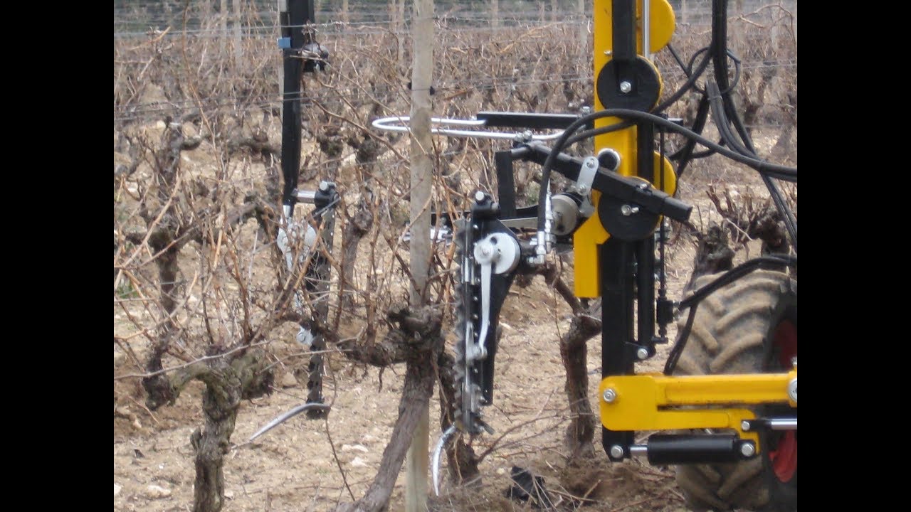 Taille mécanique des vignes CHABAS