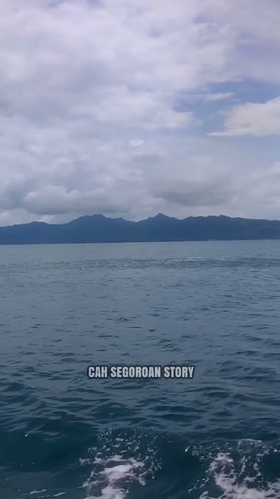 Serok ikan banyar km waras