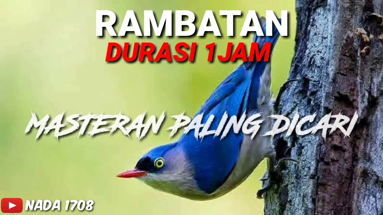 MASTERAN RAMBATAN DURASI 1JAM