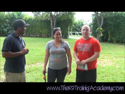 the-k9-training-academy-reviews