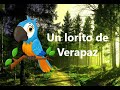 Un lorito de Verapaz - Canción tradicional de Guatemala