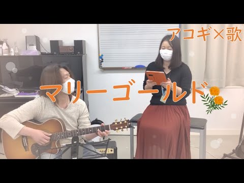【マリーゴールド】アコースティックギター×歌