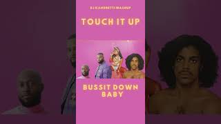 Prince, DSVN, Erica Banks-TOUCH IT (Touch It Mashup) shortstouchit