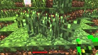 HEROBRINE EPIC FAIL