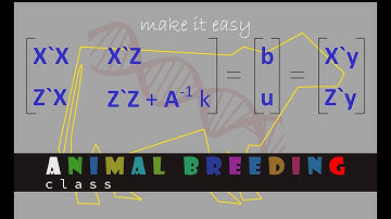 Operasi matriks menggunakan spreadsheet (Excel atau LibreCalc)