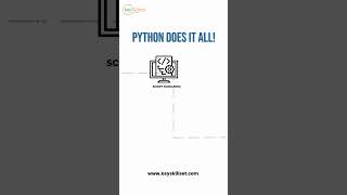 Do you code in Python?