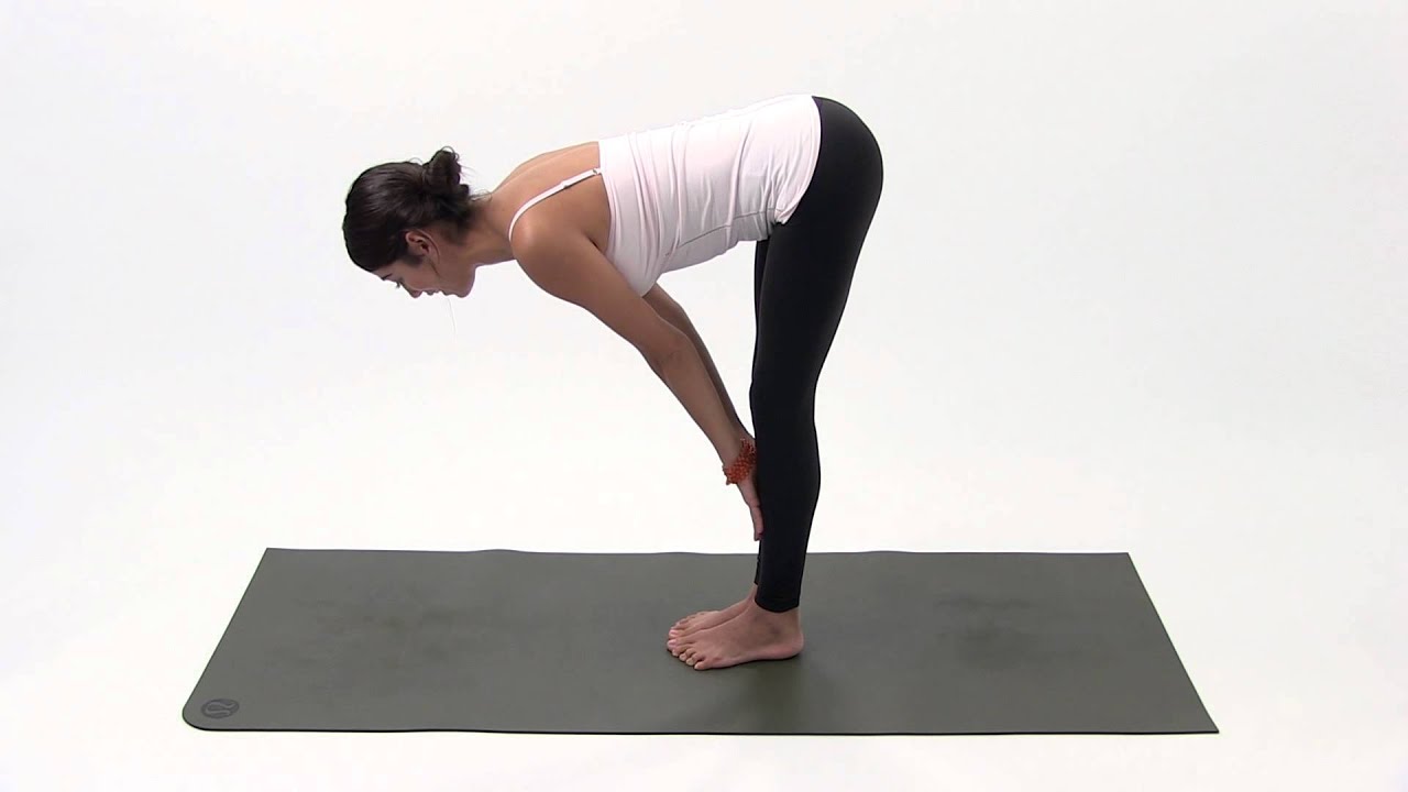 A Beginner's Guide To Yoga Asanas 1