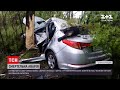 Новини України: у Дніпропетровській області легковик увігнався в дерево, водій загинув на місці