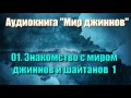 01. Знакомство с миром джиннов и шайтанов 1 (аудиокнига "мир джиннов")