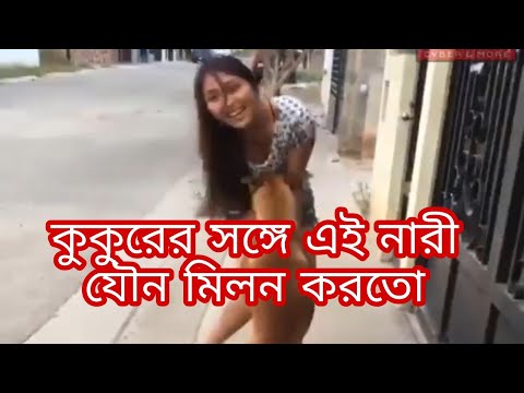 ভিডিও: কুকুর মধ্যে প্রোস্ট্যাটিক সিস্ট