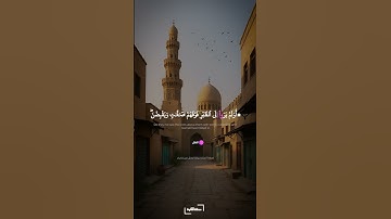 أولم يروا إلى الطير فوقهم صافات | سورة الملك برواية ورش عن نافع | الحصري #quran