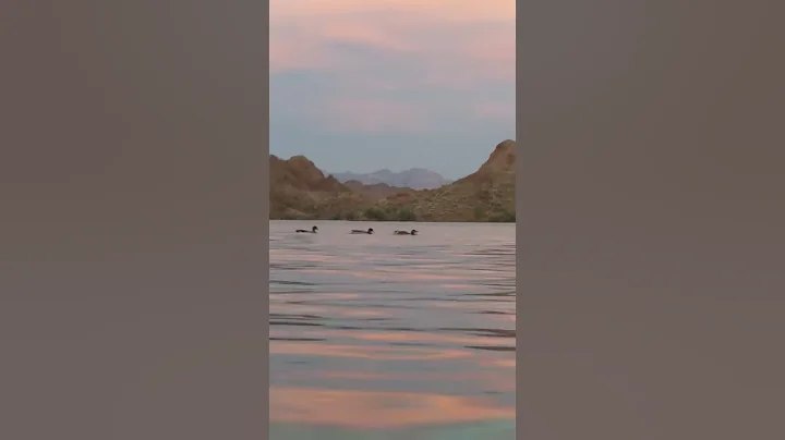 Sounds on the sunset on Lake Mohave