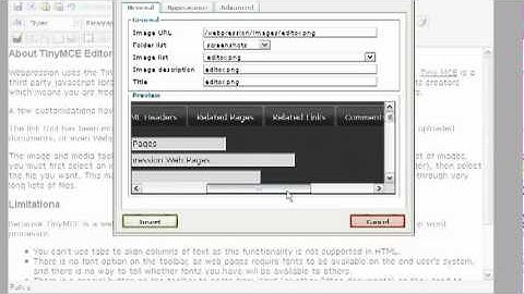 TinyMCE Editor in Webpression CMS