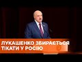 Лукашенко планирует побег | Протесты в Беларуси | Жыве Беларусь | Зеленский о протестах в Беларуси