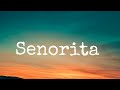 Shawn Mendes, Camila Cabello - Señorita (lyrics)